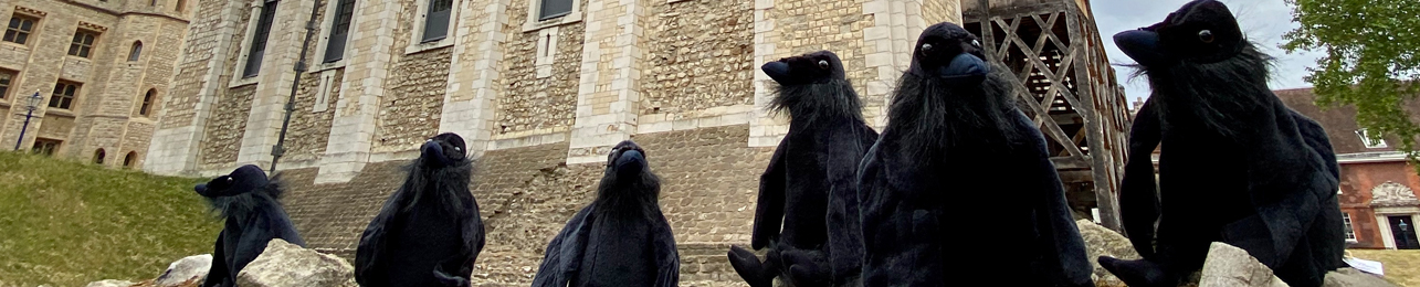 Ravens at the Tower of London - Books, gifts & souvenirs
