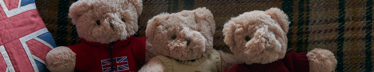 Teddy bears and soft toys