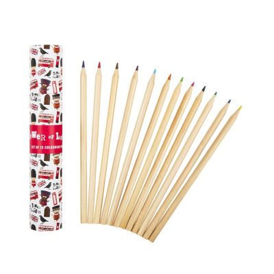 Set of 12 multi colour pencils with case 