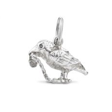 



Silver Raven charm