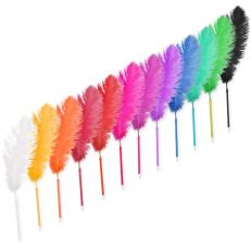 Multicoloured feather pens