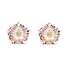Tudor Rose Silver Stud Earrings