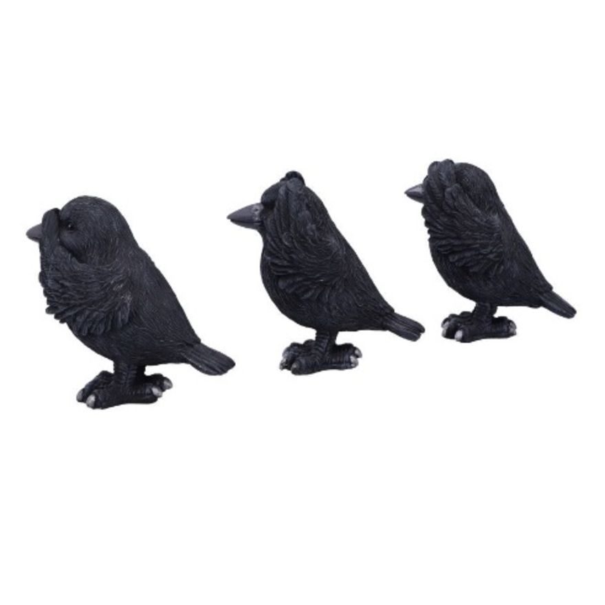 The Ravens Ghost Notes ロンT ブラック The Ravens on X: 