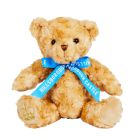 Hillsborough Castle Palace Bear 20cm - A light brown bear wearing a light blue ribbon with 'Hillsborough Castle' written in white. A gold crown is embroidered on one foot.