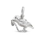 



Silver Raven charm