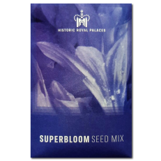 Limited release Superbloom seed mix: blue and white flowers