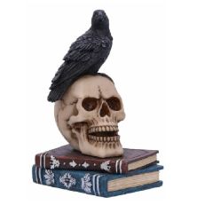 Raven Skull Book Ornament - A skull placed on top of two books with a raven sitting on top. 