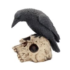 Raven on Skull Ornament - A black raven perched on the face of a human skull. 