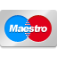 Maestro logo